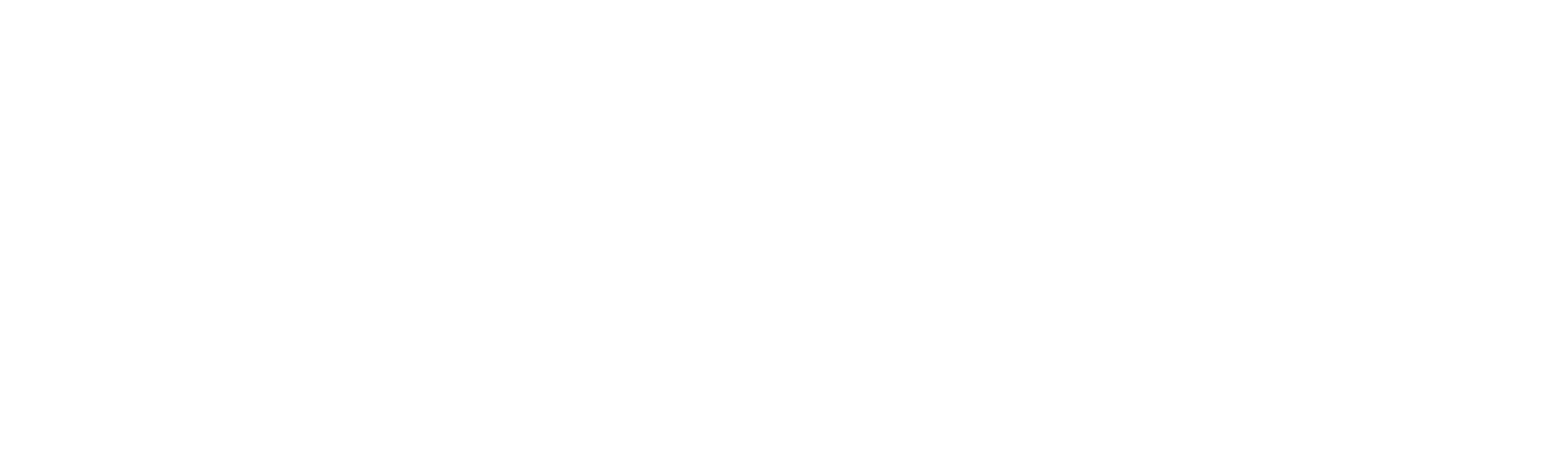 Logo do Evento Unaadeb